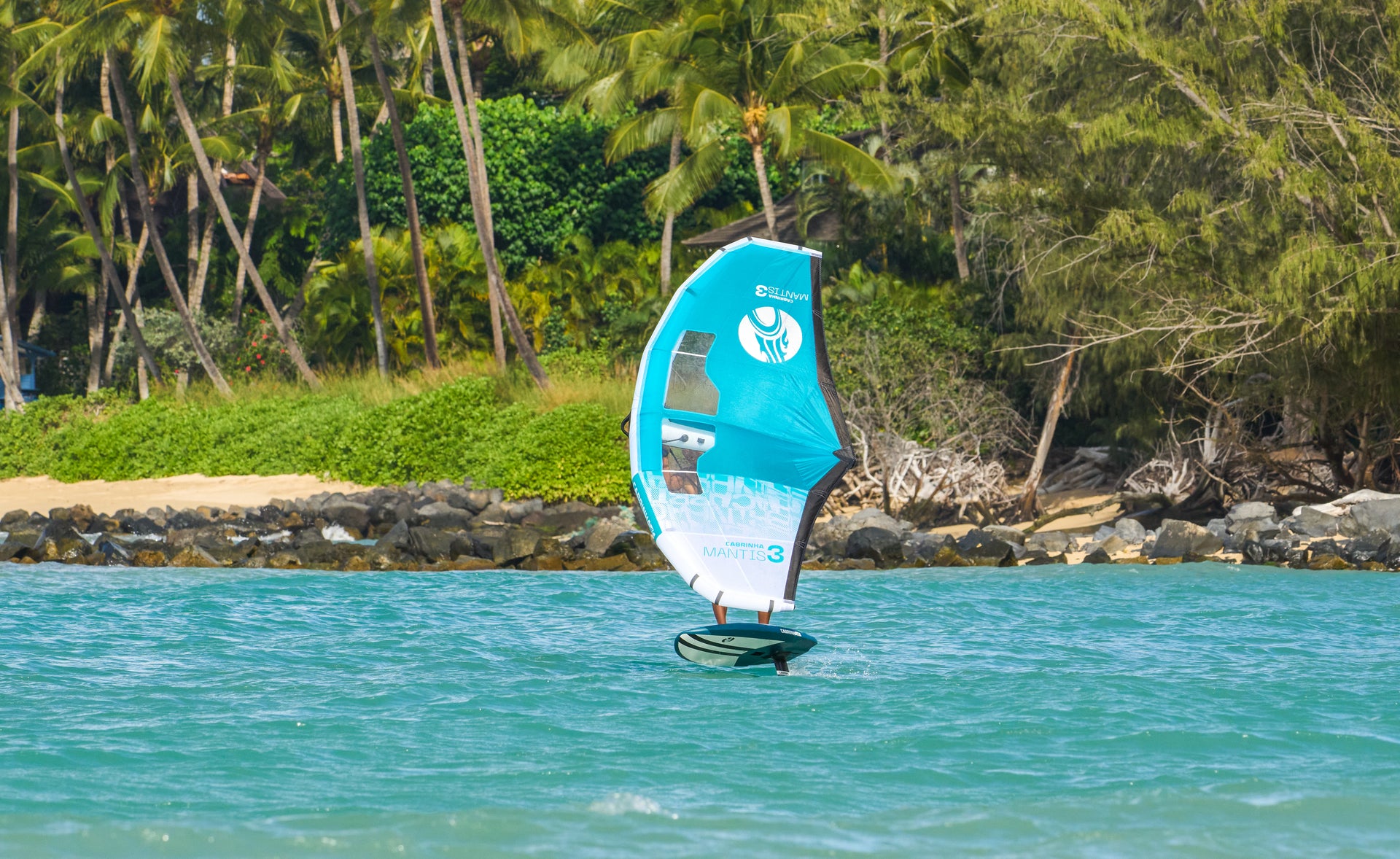 Wing foil lessons new wave kiteboarding